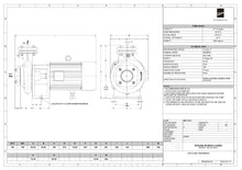 Load image into Gallery viewer, Kirloskar Mono Block Centrifugal Pump9.3KW/12.5HP Model KDI-1331+,  inlet/Outlet -100mm/100mm , EL. Motor  - 3Phase -415 V/3000 rpm , Body&amp; Impaler :Cast Iron , Shaft : SS ,Sealing:-Mechanical Seal